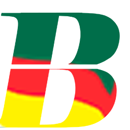 BMDC